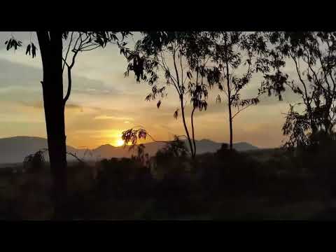 The Curse of the Mummy's Tomb || YOUTUBE STORIES