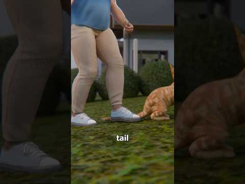 He Stomped On My Cat's Tail 😤