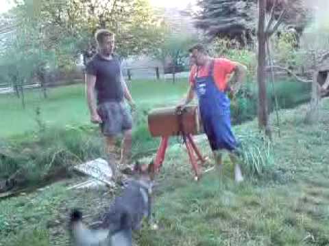 Olypionieten in naunhof