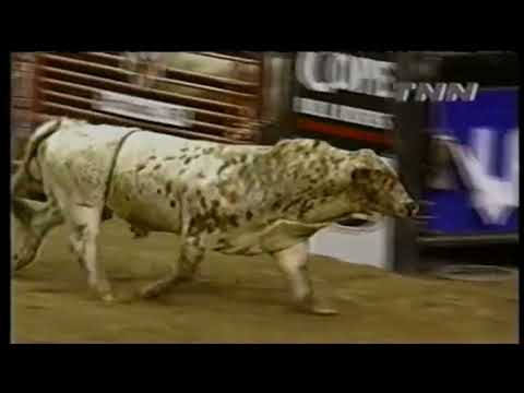 Spud Whitman vs Snafu - 00 PBR Portland (84.5 pts)