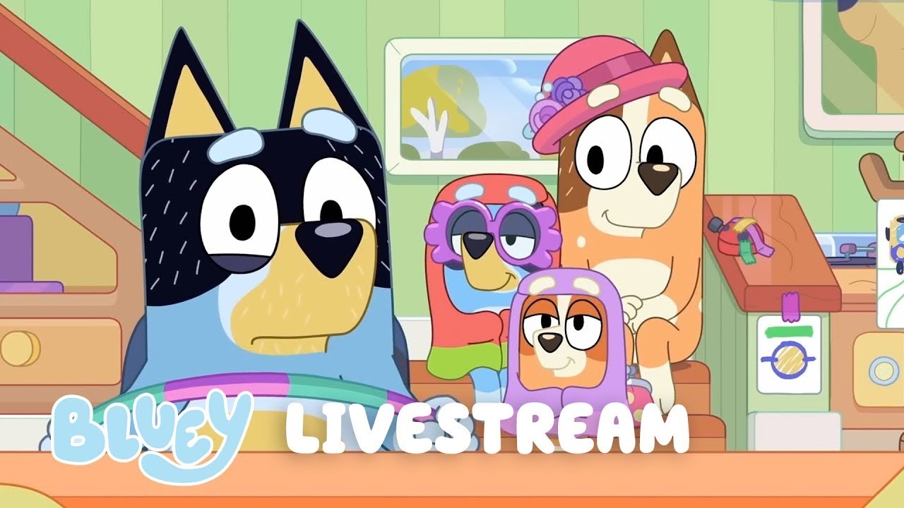 🔴 LIVE: Meet the Heelers | Bluey