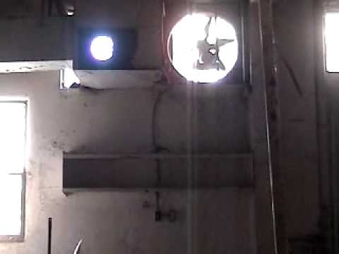 Abandoned Muse Video