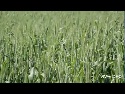 اخلاق حسنہ Good Manners - Pakistani Students