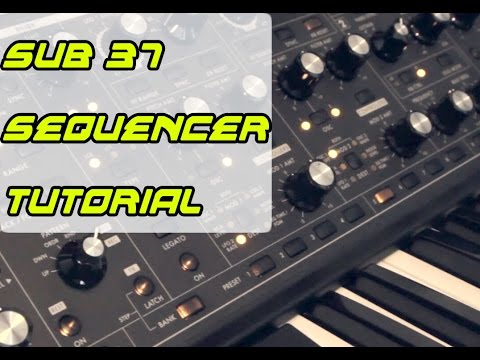 Moog Sub 37 Sequencer Tutorial