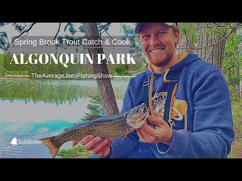 Algonquin Park Fishing Spring Brook Trout - Catch and Cook over a Fire