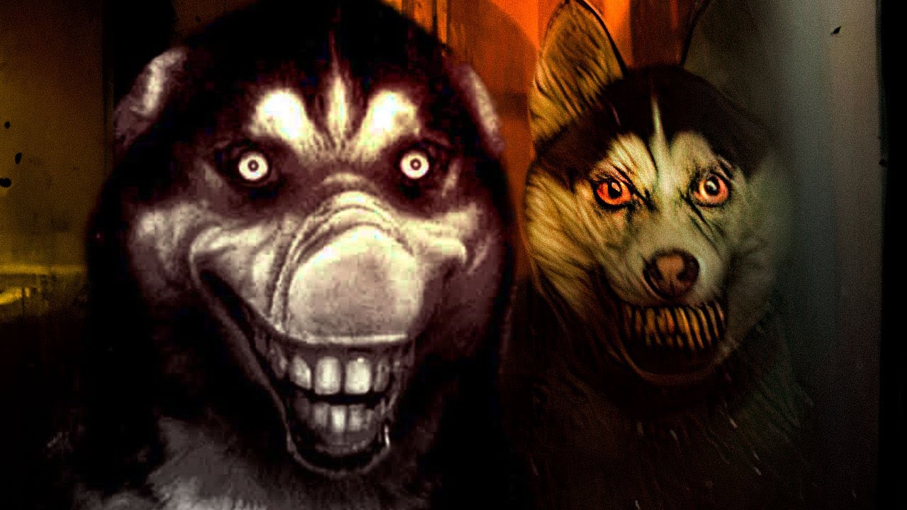 A Maldição de SMILE.JPG