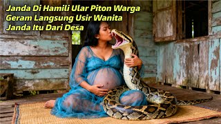 Download lagu Janda di Hamili ular piton‼️Warga Langsung Usir wanita janda Itu Dari Desa dan kebenaran terungkap mp3