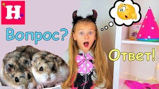 ВОПРОС-ОТВЕТ / Где хомячки😨У Николь появилась симпатия? Настоящая фамилия Мисс Николь