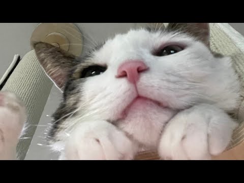 오랜만이야 흐흥