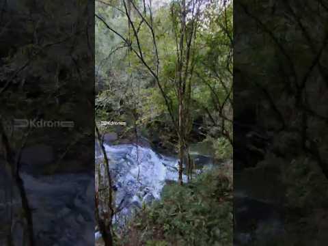 Terapia en Camping Guadalupe 😁| Los Helechos #misiones #airelibre #naturaleza #cascada
