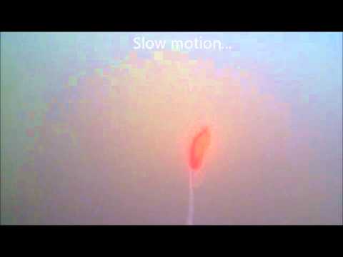 Воблер ROZEMEIJER LITTLE TEMPTATION Floating - 12cm - 38g / 0.6 - 1.2m / Red Head Воблер ROZEMEIJER LITTLE TEMPTATION Floating - 12cm - 38g / 0.6 - 1.2m / Red Head