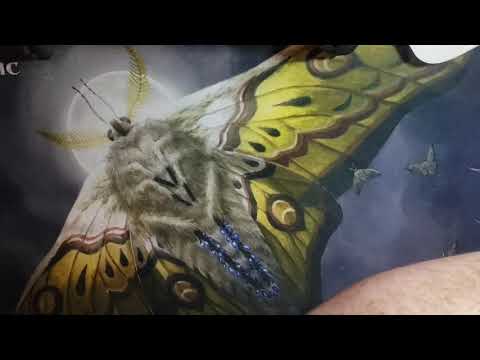 GREAT WAY TO JUMPSTART CORE SET 2021