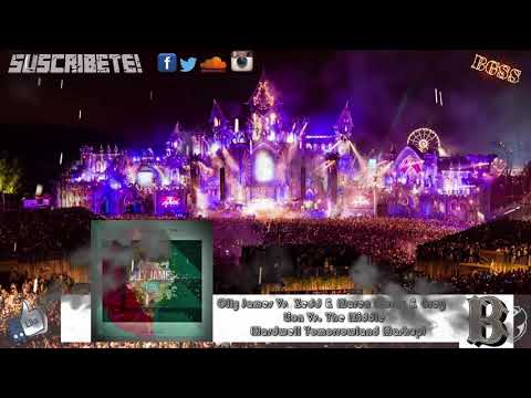 Olly James Vs. Zedd & Maren Morris & Grey - Lion Vs. The Middle (Hardwell Mashup)