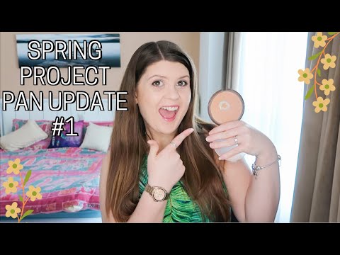 Spring Project Pan Update #1 | Project Pan Challenge 2020