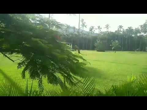 Pensavento Paisamistico