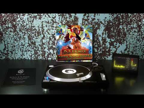 DJ Fenix - Boom Boom Shake (feat. Mc Shayon) (Radio Dub Edit)
