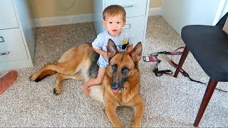 The Kids Want A Puppy!