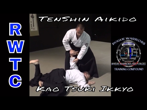 AIKIDO – How to deal with a punch to the face
