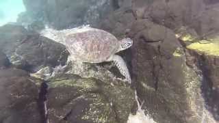 preview picture of video 'Águas límpidas da praia do Sancho em Fernando de Noronha'