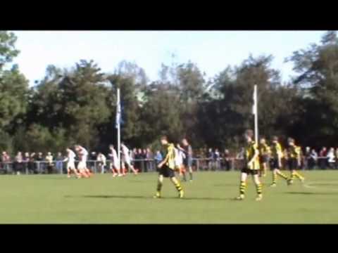 meervogels -  limmen 2010