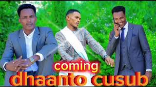 Download lagu ABWAAN AMIIN | INDHAYARE DHAANTO CUSUB FAISA OFFICAILL VIDEO 2025 mp3