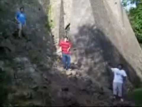 Ayo Technology Dancing Parody