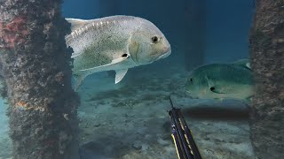 Download lagu 3 Hari Berburu Ikan Trevally Di Bawah Dermaga Pulau Kalu-Kalukuang mp3