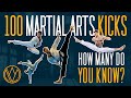 100 DIFFERENT KICKS! | FOC Kicktionary | Taekwondo, Karate, Capoeira, Tricking, Martial Arts