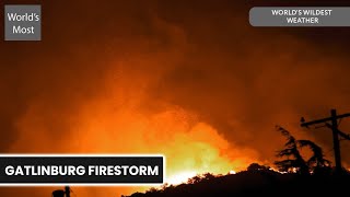 Fire Emergency: Inside The Gatlinburg Wildfires | World's Wildest Weather S01 E01