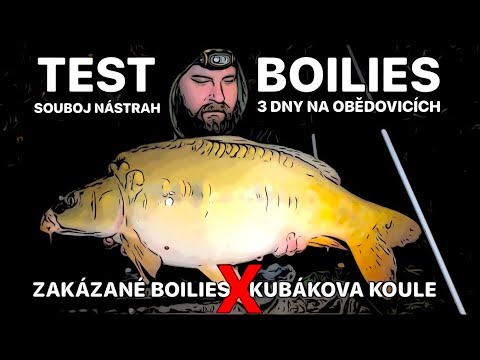 TEST BOILIES - 3 DNY - PODZIMNÍ OBĚDOVICE - SOUBOJ NÁSTRAH - ZAKÁZANÉ BOILIES VERSUS KUBÁKOVA KOULE!