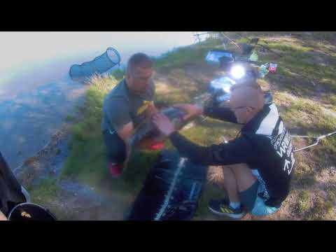 Rekordowy karp z wody PZW