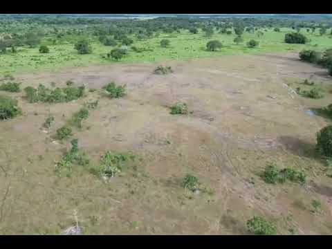 Faz.520 alq.valor 85 mil por alq escriturada no Pará Floresta do Araguaia chama no zap.91982165639 
