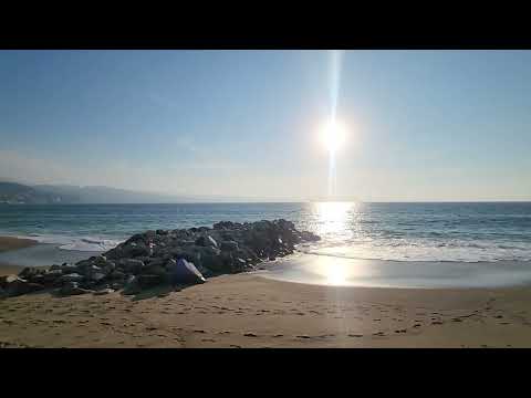 PUERTO VALLARTA 🌴 🌴🌊🌴 🌴 #viral #fyp #playa #marysol 🌞