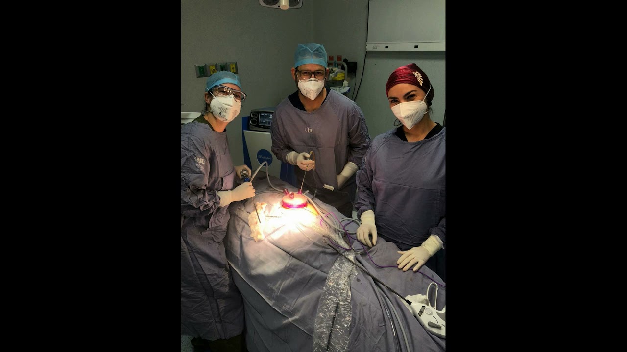 José De Jesús Zermeño Nava-18