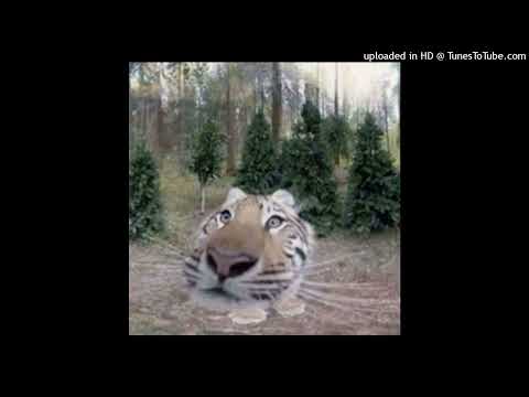 [FREE] 4n Way x Kinderlil x JUGHEAD Type Beat - ssb