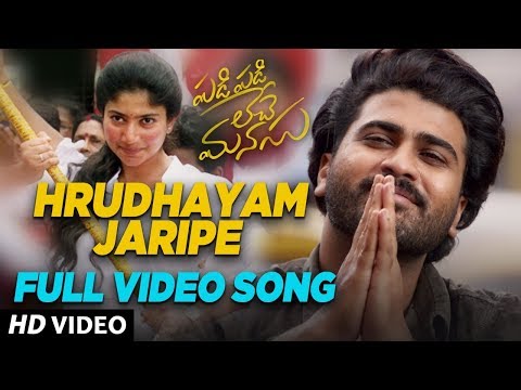 హృదయం జరిపే