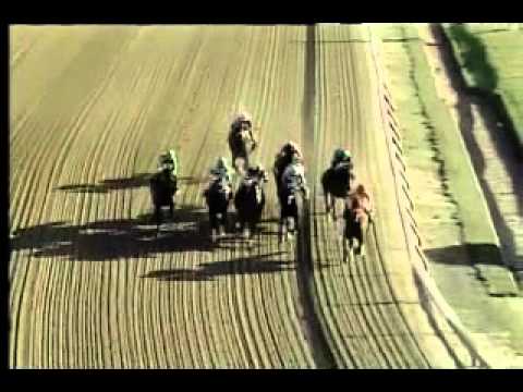 Pimlico 04/12/14 race 10