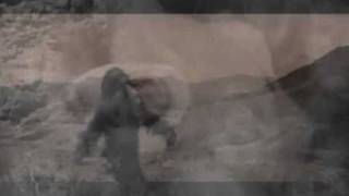 MARLENE KUNTZ-La Libertà-Giorgio Gaber Cover