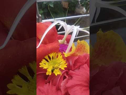 village life 🌳❣️#shubhsakal #flowers #devpooja #viral #shorts