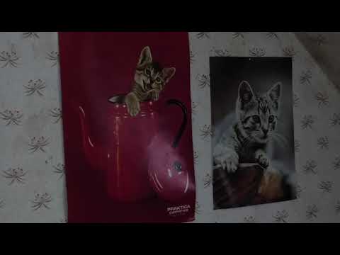 Heute ein kleines und kurzes Lost Place-kleines zweifamilienhaus in Freital