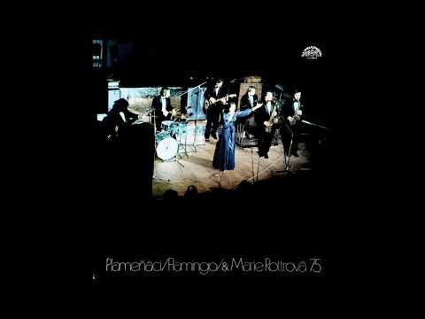 Plameňáci / Flamingo & Marie Rottrová - Malovaná Kapela (1976)