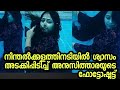 Underwater Shoot Anu Sithara Anu Sithara Latest Underwater Photoshoot Mallu Actress Shoot