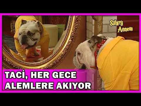 Taci, Her Gece Süslenip Alemlere Akıyor! - Sihirli Annem 69.Bölüm