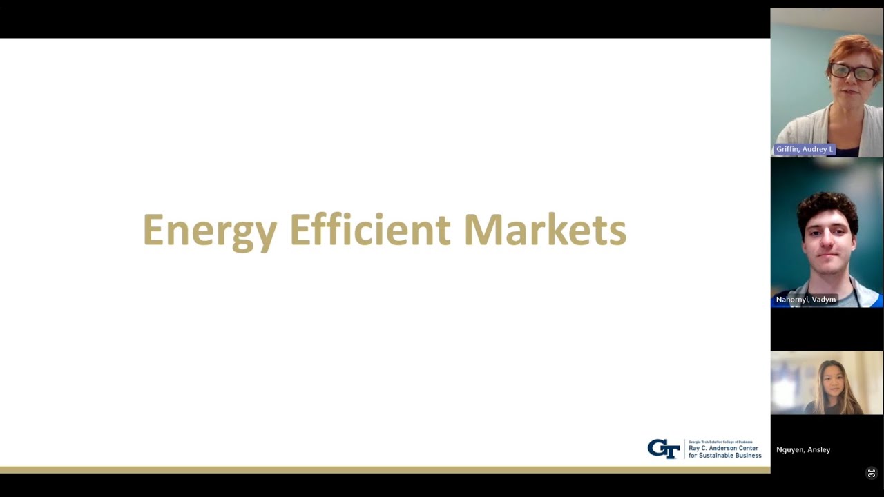 Opportunities for Growth in the US Energy Efficient Markets