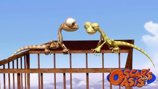 Oscar's Sweet Heart | Oscar's Oasis Kids Cartoons