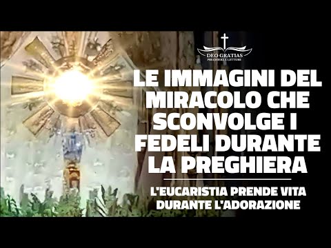 L'eucaristia prende vita durante l'adorazione, le straordinarie immagini del miracolo