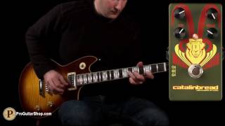 Video thumbnail for Catalinbread Manx Loaghtan by ProGuitarShopDemos