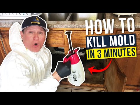 image-Why does my room smell like vinegar?