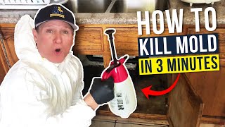 Black Mold - How we get rid of mold in under 3 min!