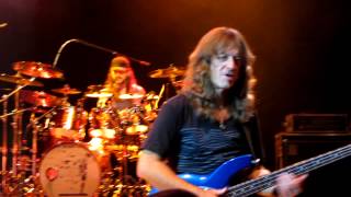 Flying colors- Loving you forever in a daze